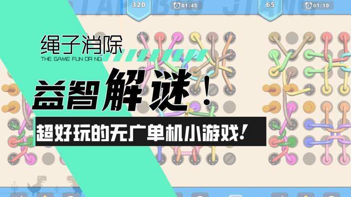 【绳子消除】益智解谜!超好玩的单机无广小游戏!截图
