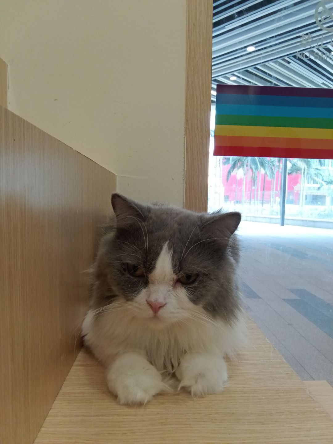 现实版猛兽派对! 1