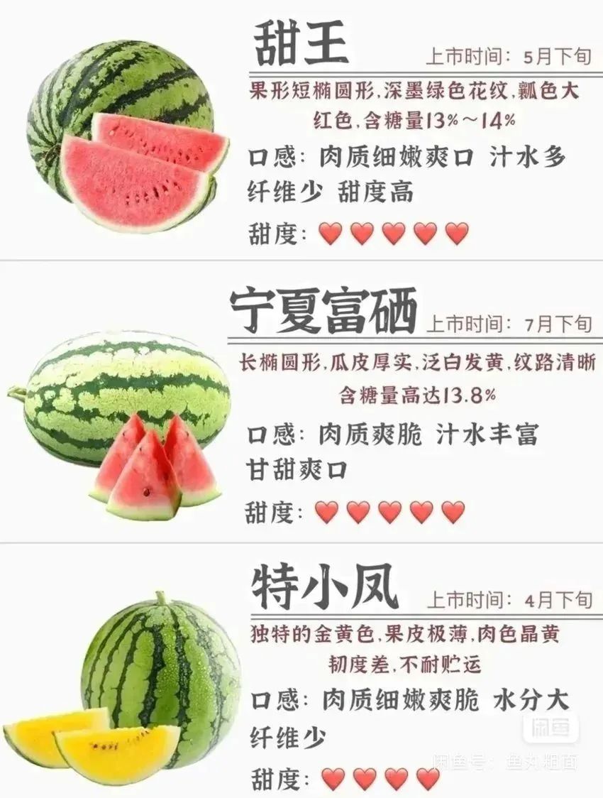 💥青年大学习|如何挑选西瓜❗ 1