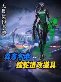 一分钟教会你蝰蛇在森寒冬港A点的进攻方进点道具