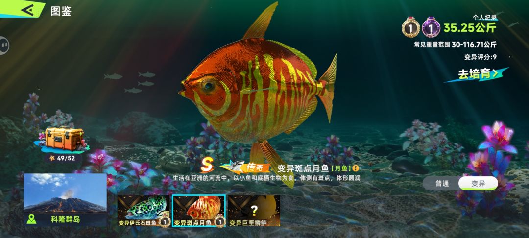 动态图片 10
