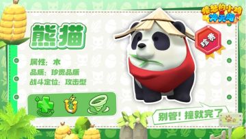 【宠物档案】滚雷墩墩・熊猫