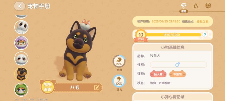 我家的三只小狗狗,超可爱截图