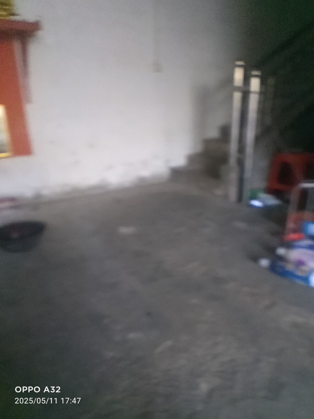 动态图片 16