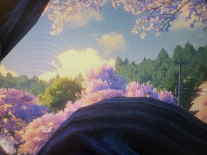 风景好看啊截图