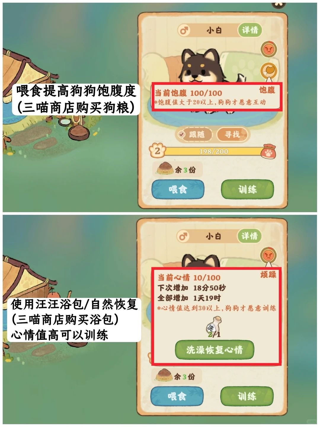 桃源养狗指南 3