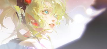 毕安卡与破绽点评以及抽取建议