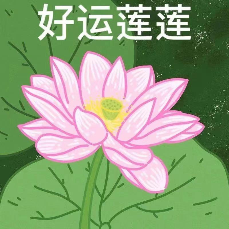 传六找室友 1