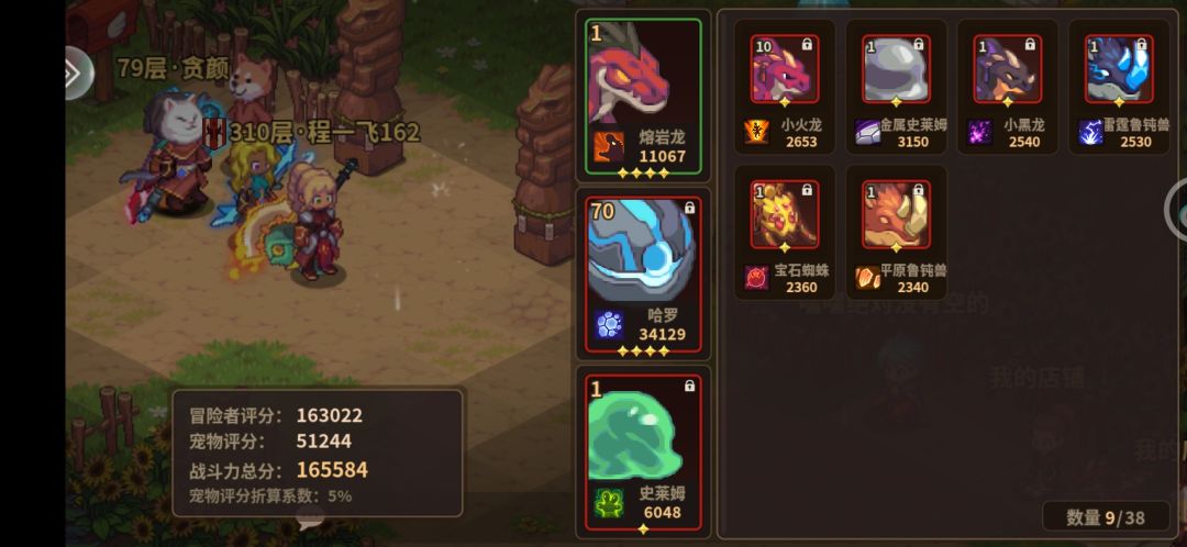 后续宠物怎么养 1