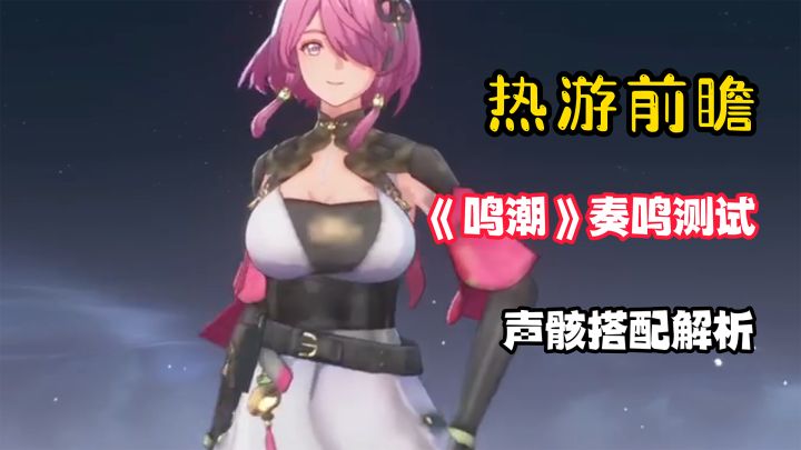 【热游前瞻】声骸系统的底层逻辑究竟是怎样的?截图