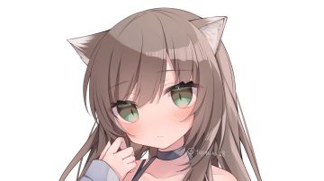 （240更新）关于无敏捷电宝（匠）的问题（例如：技巧电宝）