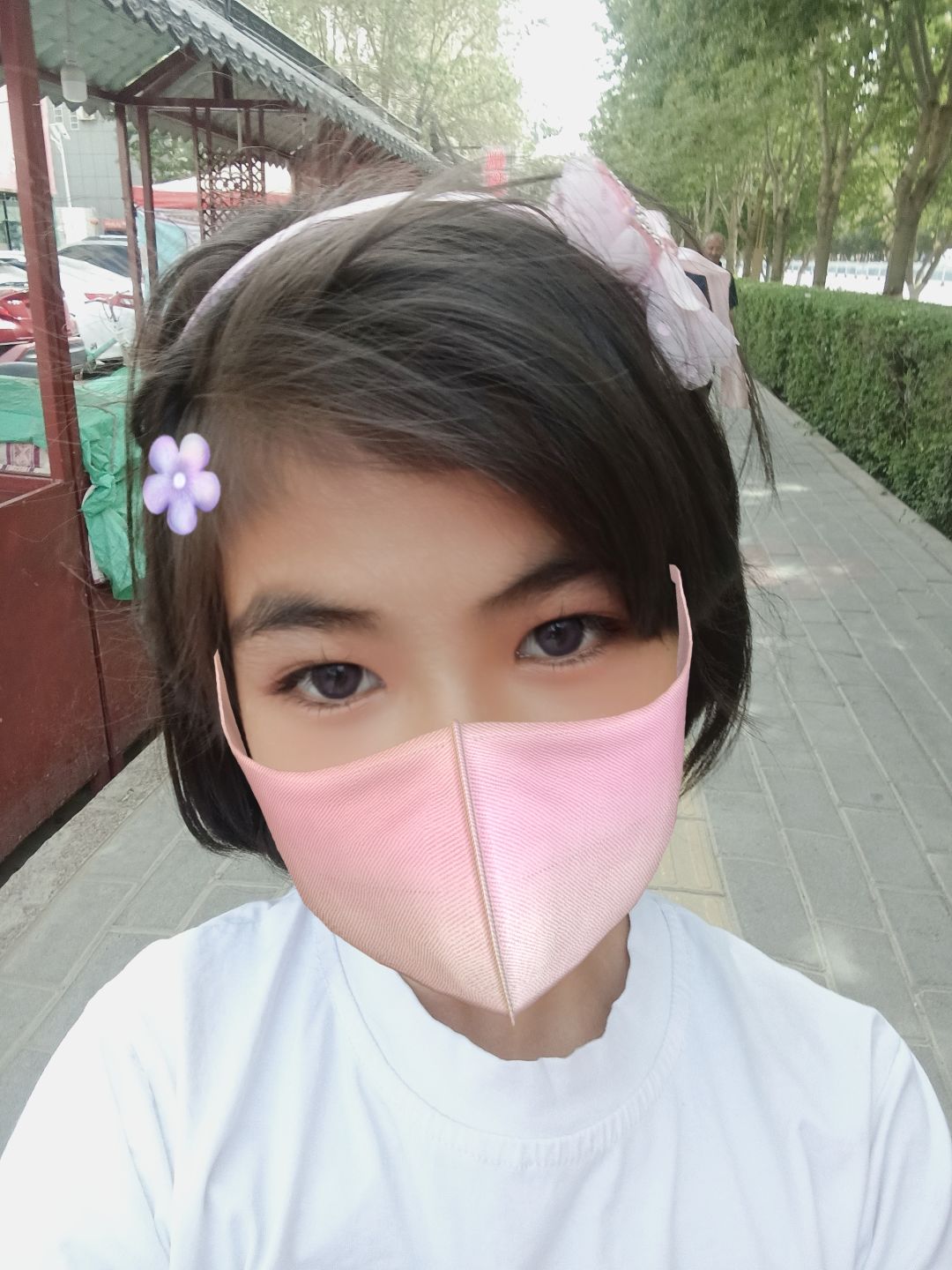 动态图片 2