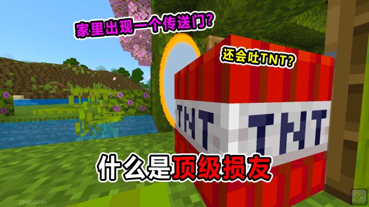 什么是顶级损友!家里出现一个传送门?还在吐TNT!什么鬼!截图