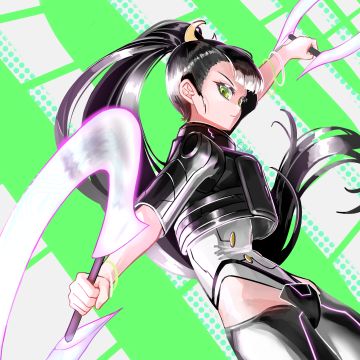 桔梗（上半）（下半）