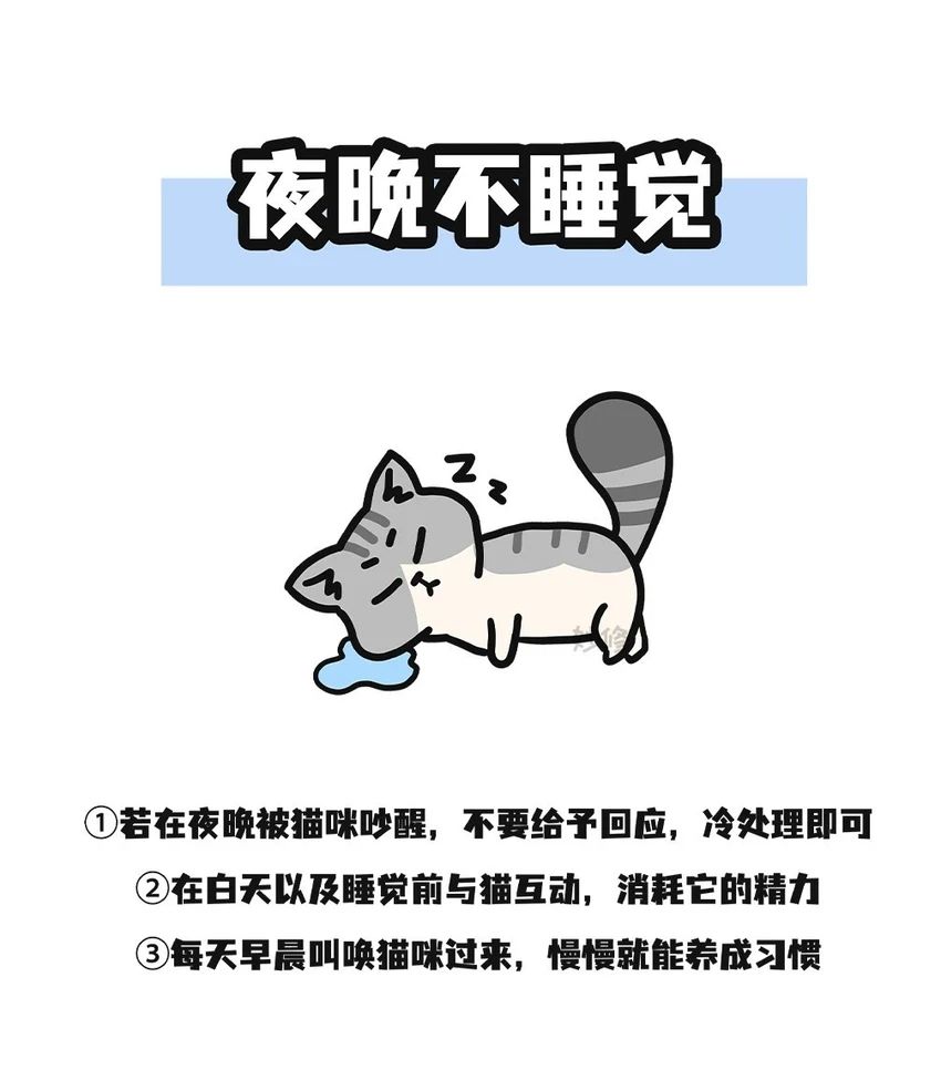 🌟青年大学习|猫猫社会化训练🌟 2