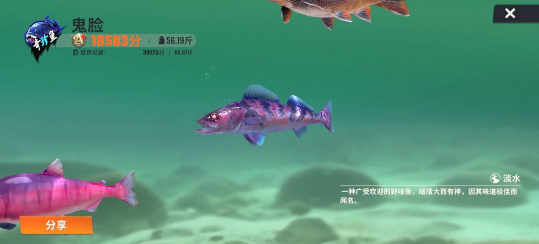 #欢乐钓鱼大师 1