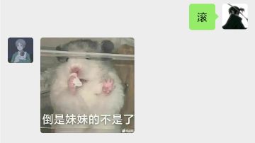 长安幻想宠物规划合集（pve）篇