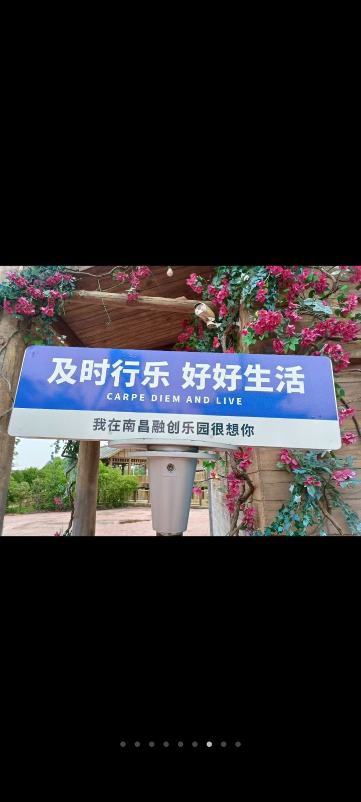 及时行乐,好好生活截图