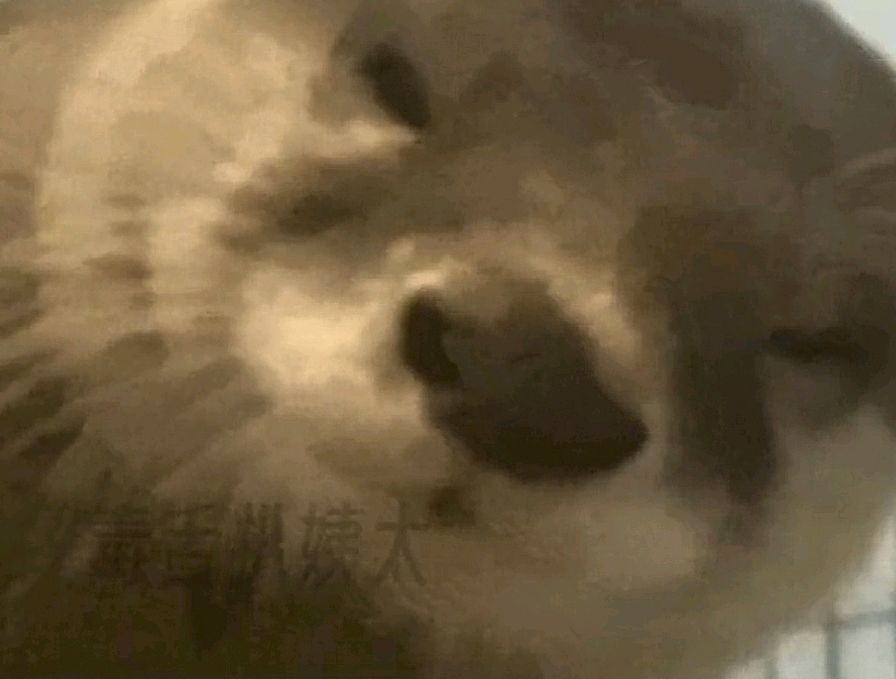 天冷了就要多打王者 1