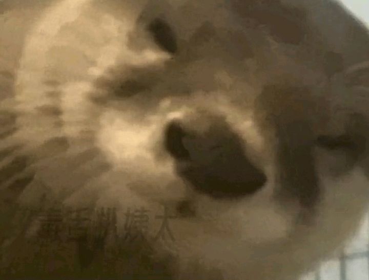 天冷了就要多打王者截图