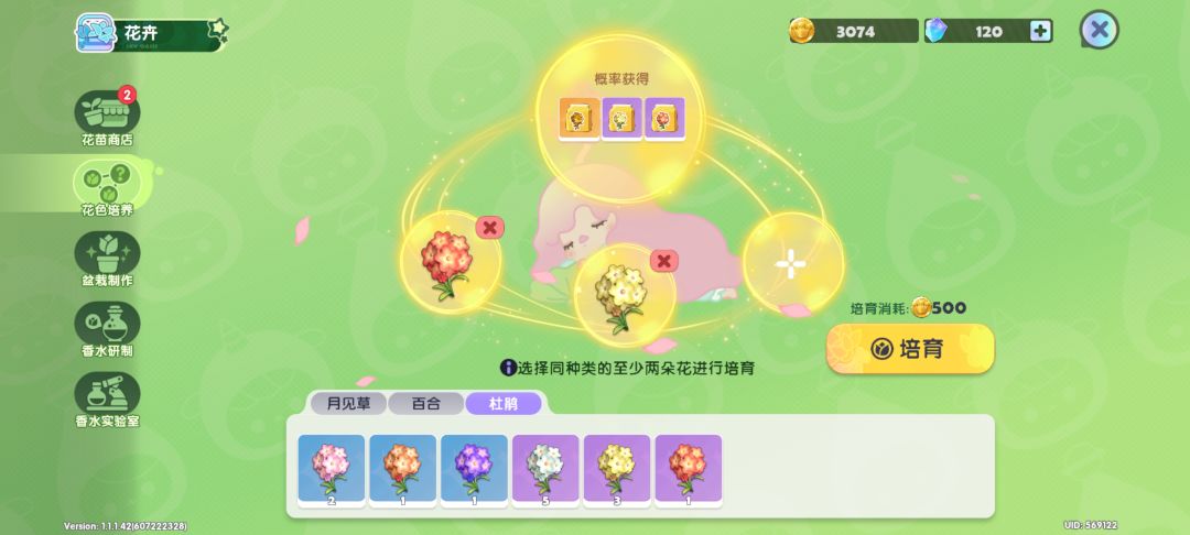 【花卉培养攻略】杜鹃花 稀有花色合成公式 3