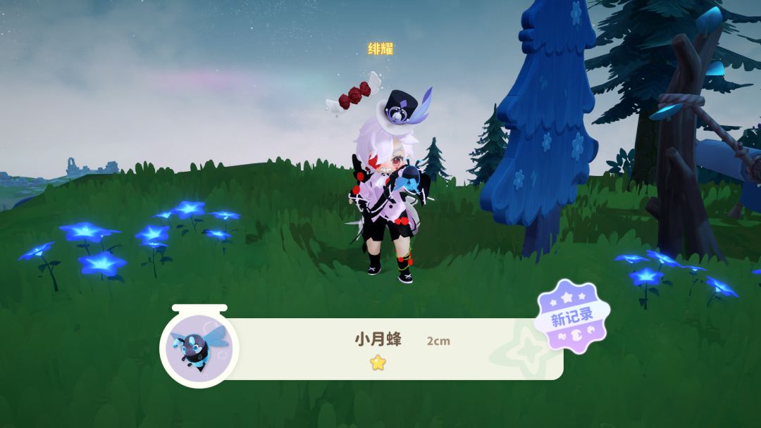 哭哭大兜虫,小月蜂点位 3