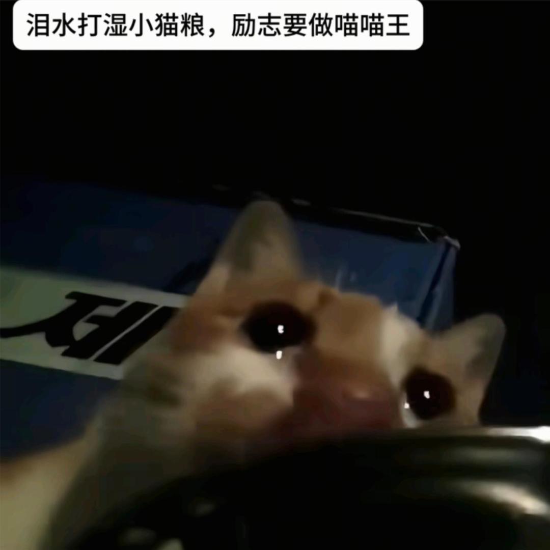 你们叫什么啊!玩偶才是最弱的好不好! 1