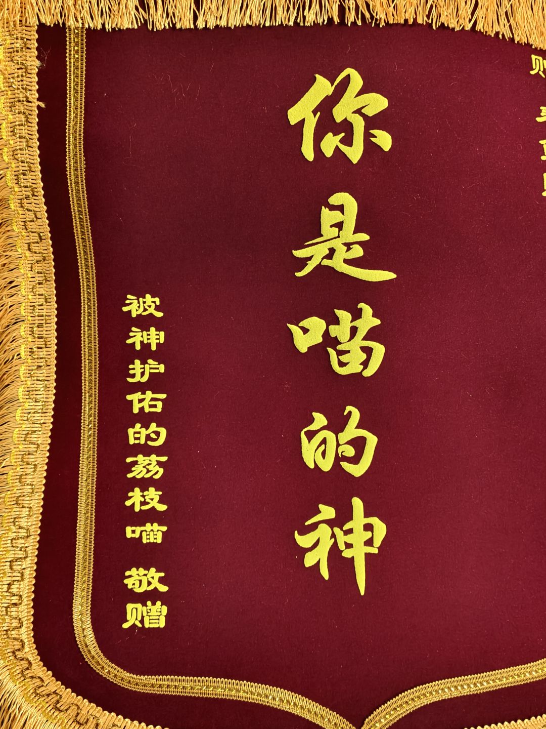 收到早八锦旗了,让我们谢谢这只喵 1