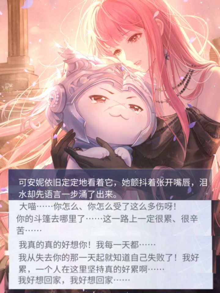 在剪暖喵这块 绝对专业😭截图