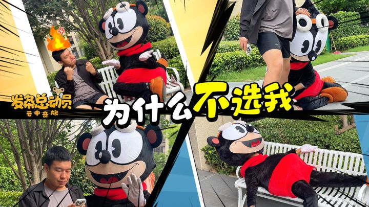 为什么不选我?截图