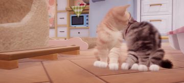 😣什么时候公测