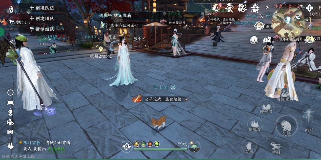 出来了,无敌的橘猫变身丸! 2