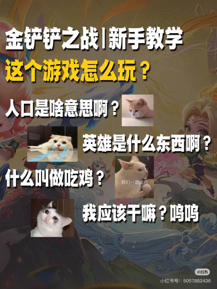 适合女铲体质的金铲铲入门教学来啦！截图