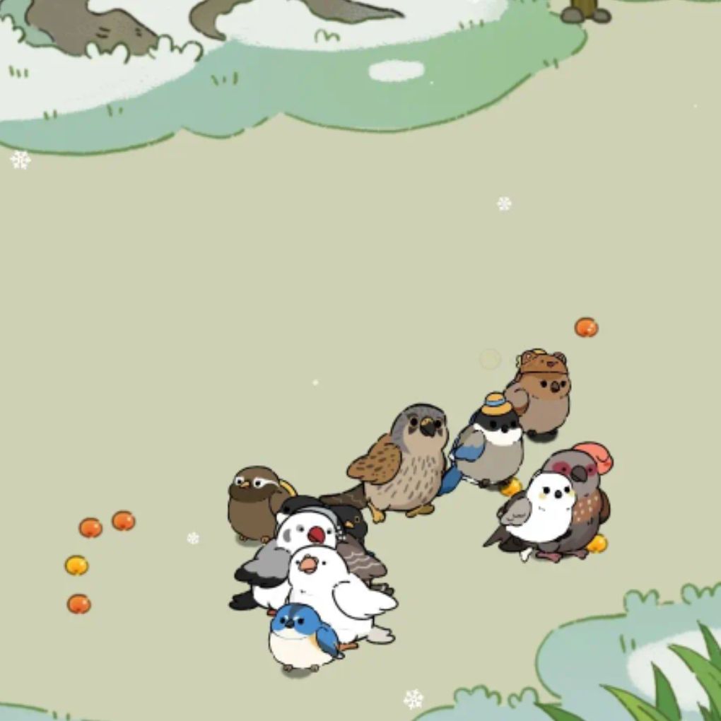不对你是猛禽啊怎么变走地鸡了😱 2