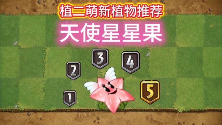 植2新手植物推荐:天使星星果(含获取养成方法)截图