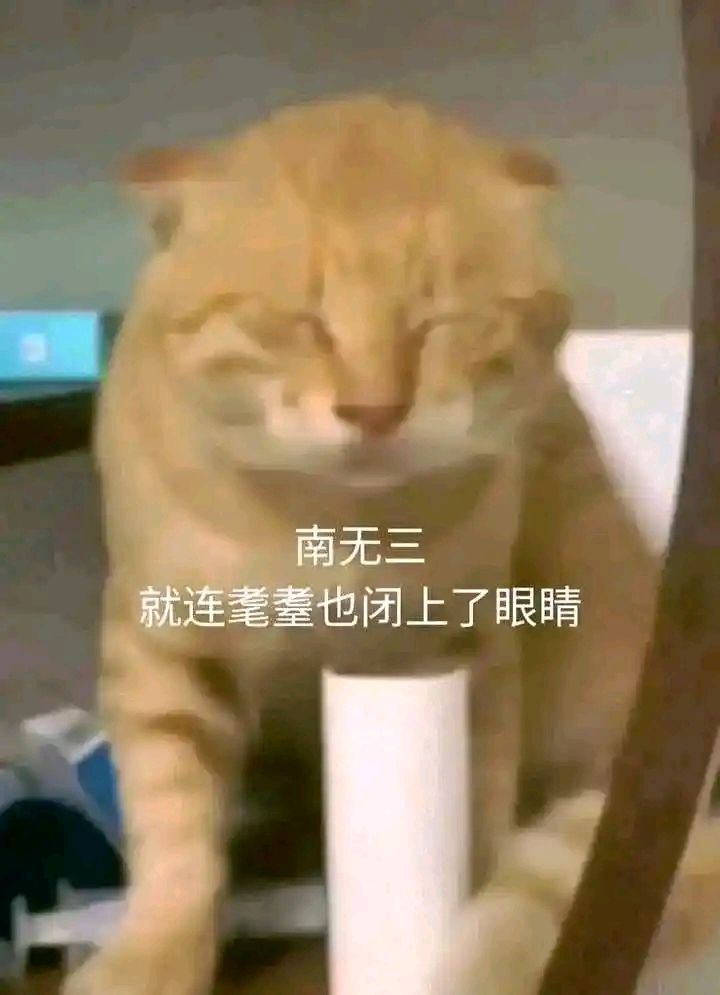 何意味 2