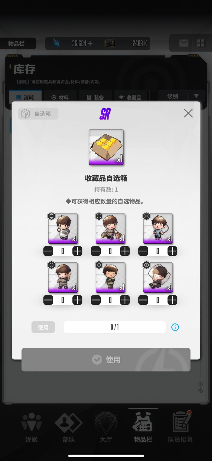 SR自选收藏品选哪个?截图