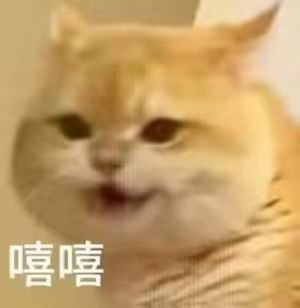 需要绒绒和火花吗截图