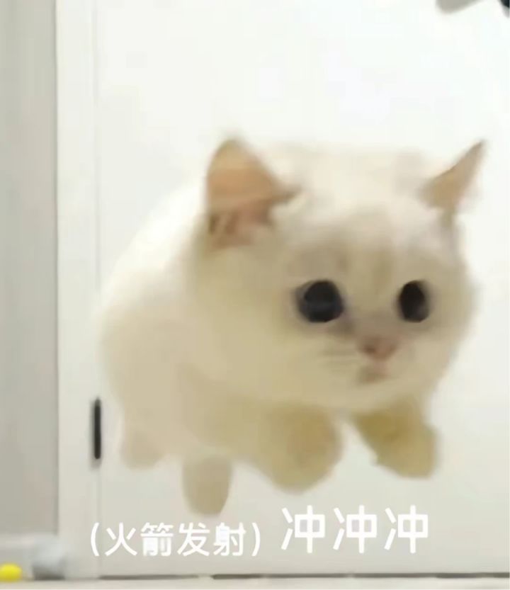 刚进游戏截图