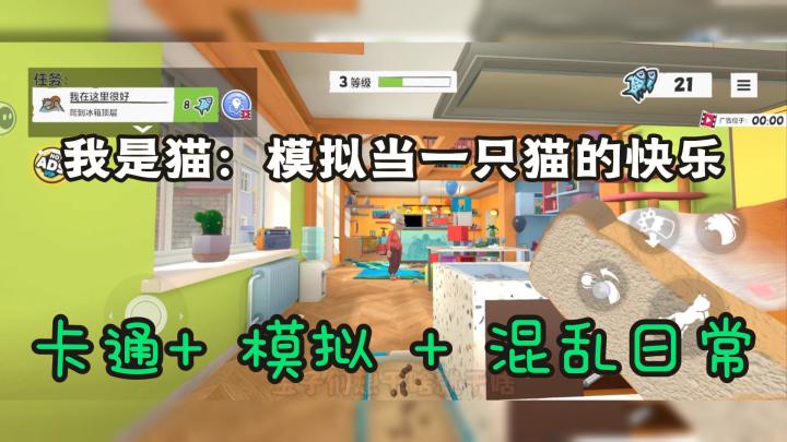 我是猫:当一只猫咪的日常是什么样的呢截图