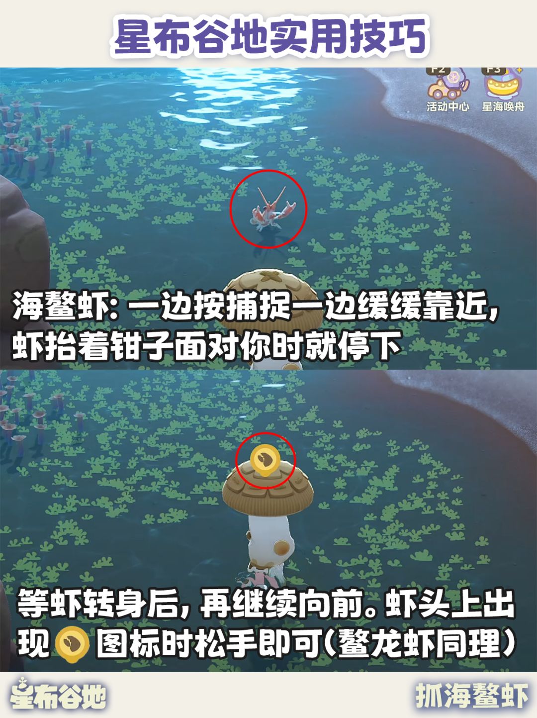 星布谷地实用技巧 新手少走弯路! 6