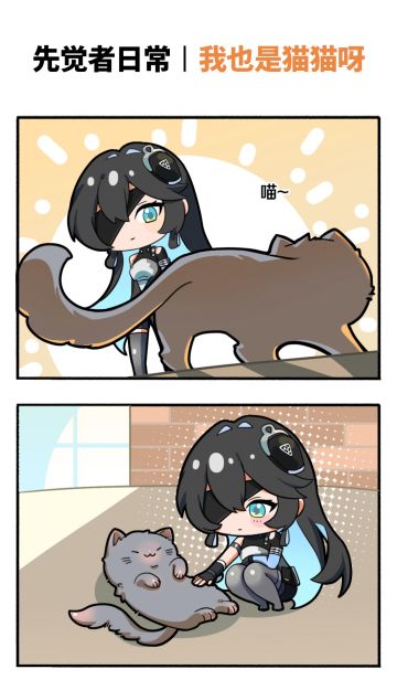 先觉者日常丨我也是猫猫呀