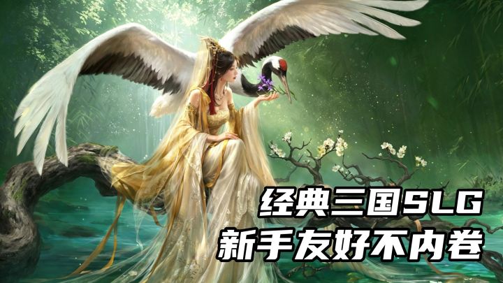 沉浸式三国策略盛宴,谋定天下以智破局,带你玩转乱世权谋棋局截图