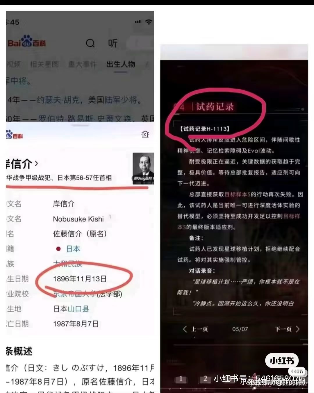 动态图片 4