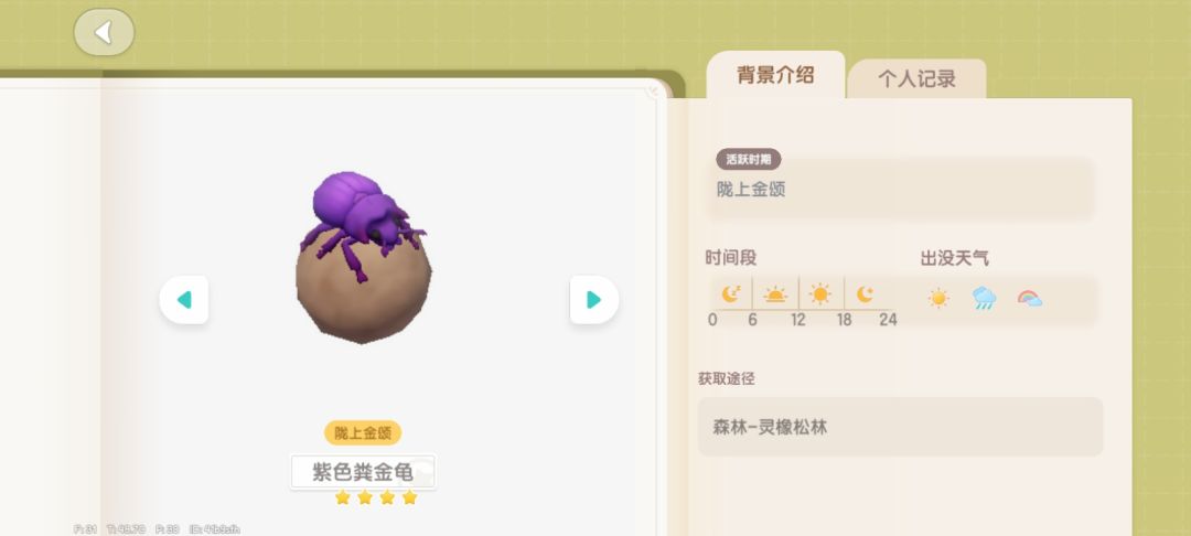 粪金龟位置＋事件概述 5