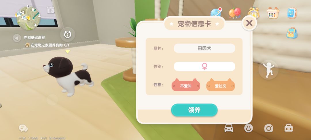 今天的小狗狗 3