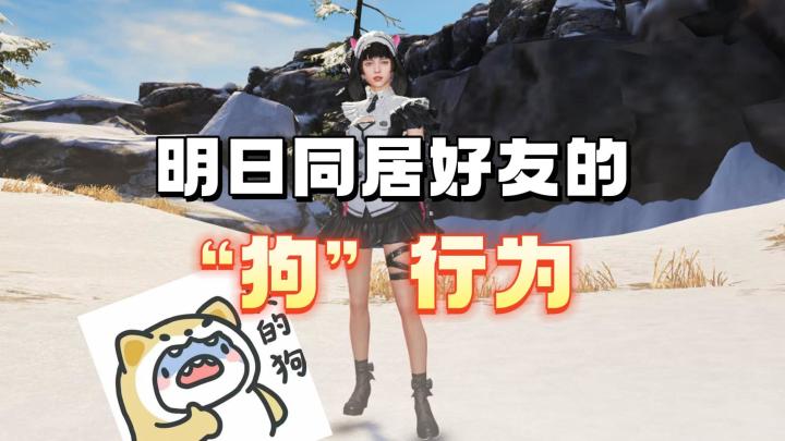 同居好友的“狗行为”截图