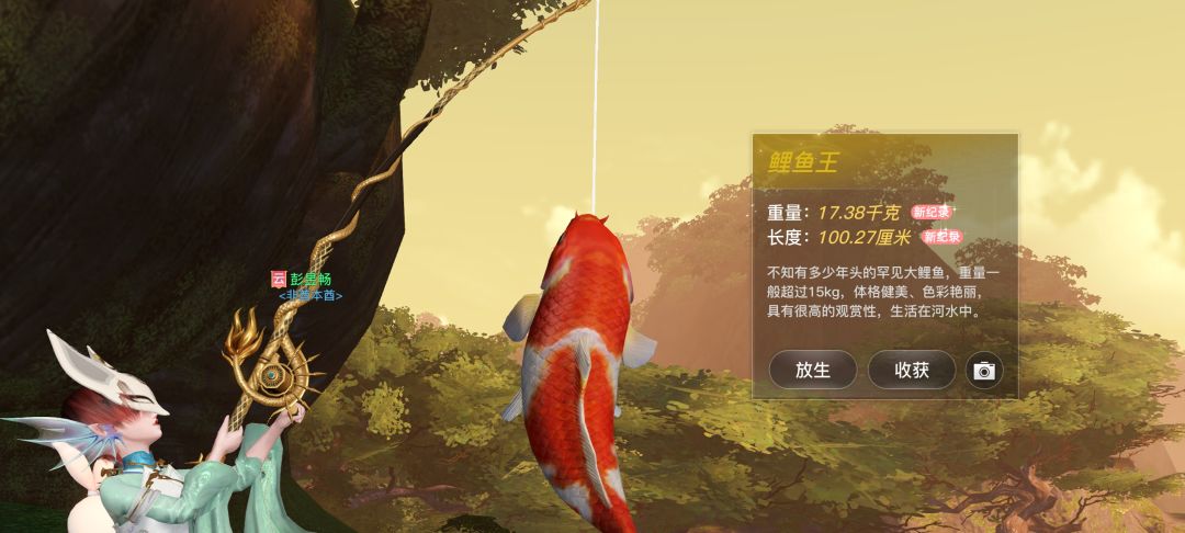 动态图片 5