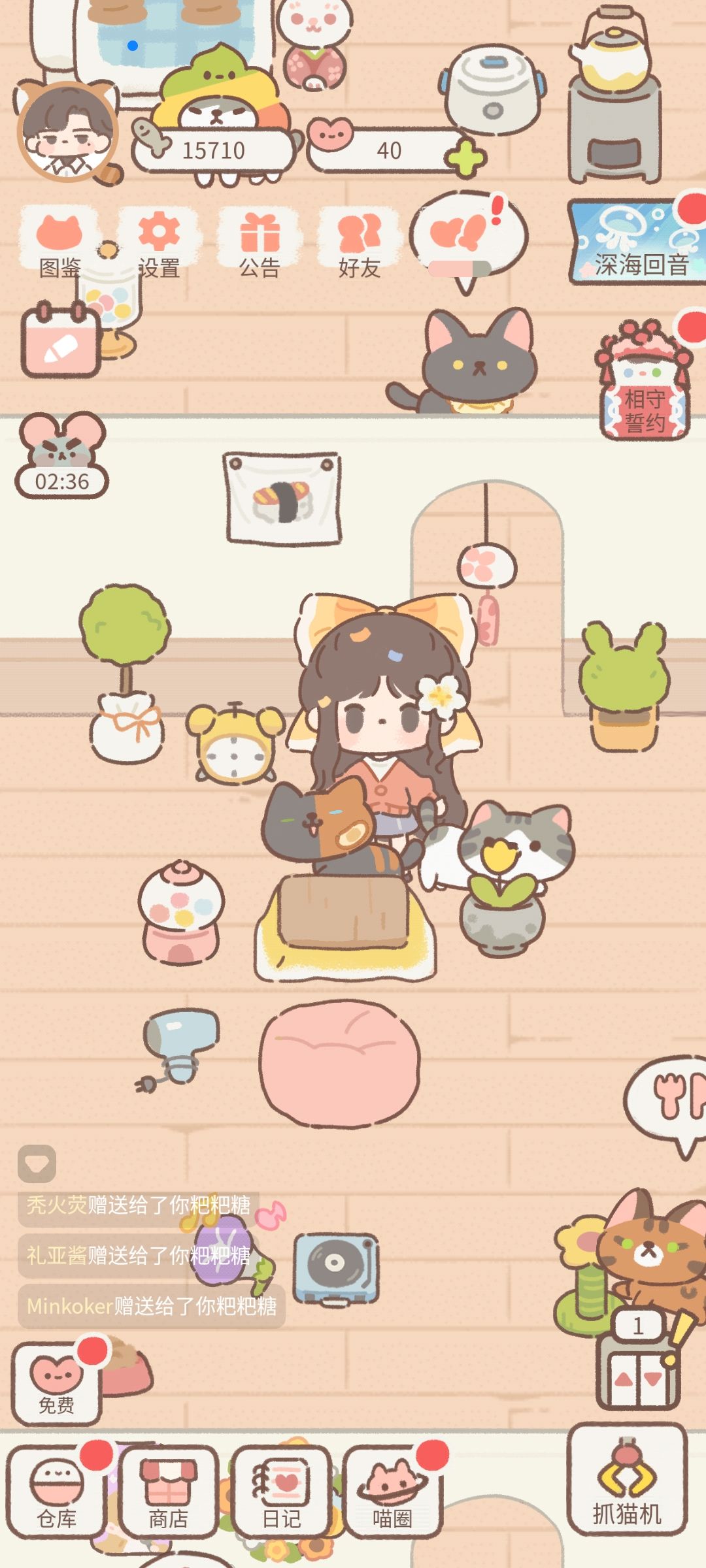 一些可爱小猫 2