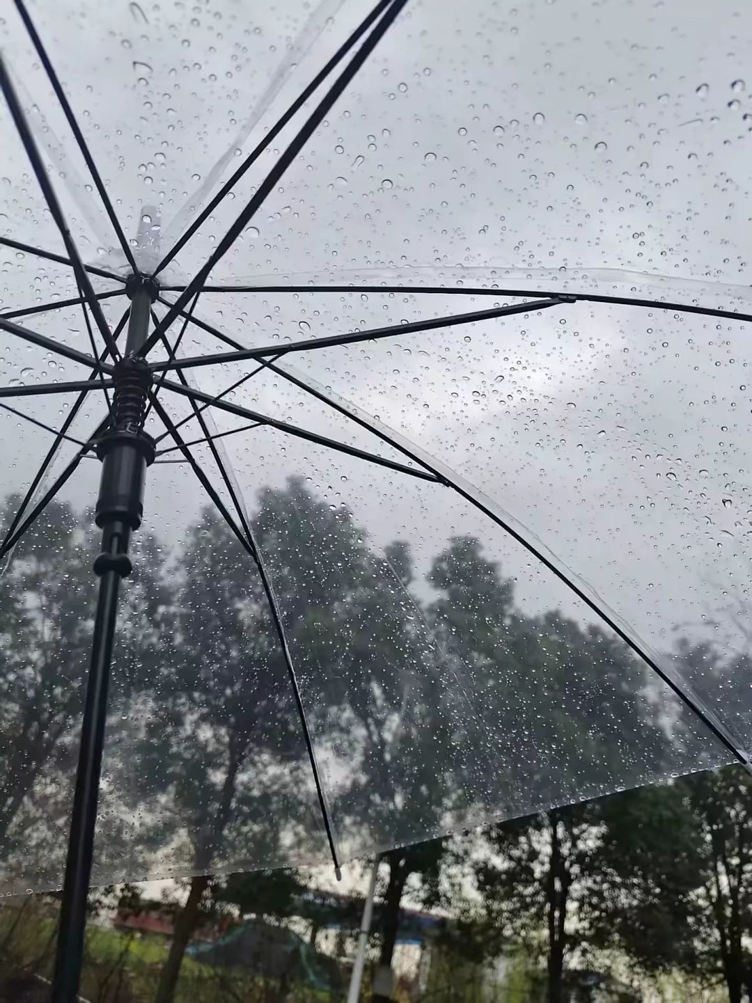 最喜欢下雨天啦 2